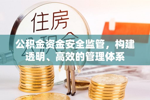周至公积金资金安全监管，构建透明、高效的管理体系