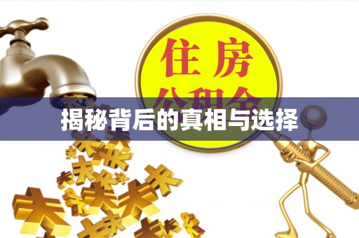 周至揭秘背后的真相与选择