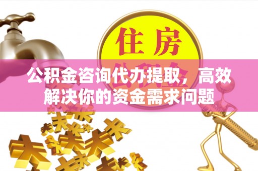 周至公积金咨询代办提取，高效解决你的资金需求问题