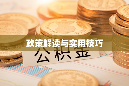 周至政策解读与实用技巧