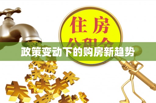 周至政策变动下的购房新趋势