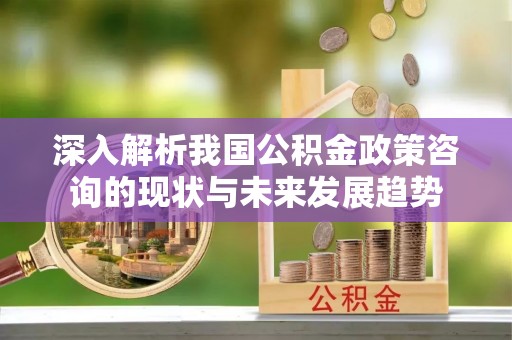 周至深入解析我国公积金政策咨询的现状与未来发展趋势