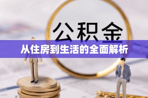 周至从住房到生活的全面解析